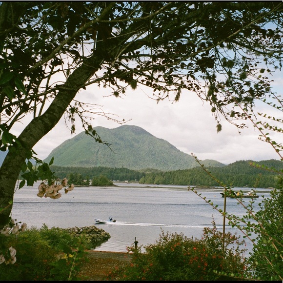 Meet your Posher, Hunter - Picture 1 of 1